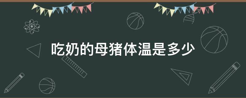 吃奶的母猪体温是多少 吃奶母猪体温多少度