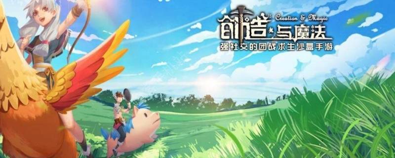 创造与魔法游戏环境异常是什么意思（创造与魔法游戏环境异常是什么意思啊）