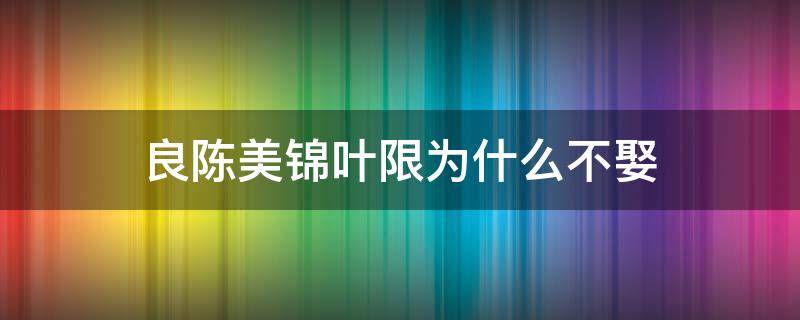 良陳美錦葉限為什么不娶 良陳美錦葉限為什么不娶女主