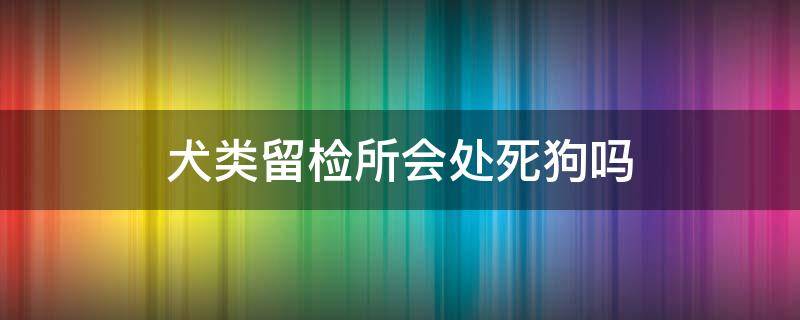 犬类留检所会处死狗吗（狗狗进了留检所能出来吗）