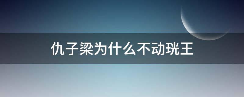 仇子梁为什么不动珖王 仇子梁和珖王