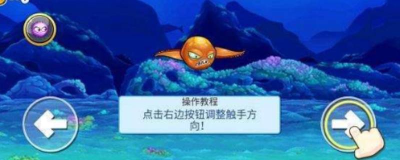 變異八爪魚兌換碼是多少（變異八爪魚兌換碼有幾個(gè)）