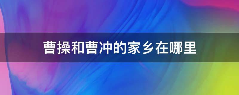 曹操和曹冲的家乡在哪里 曹冲是曹操的谁