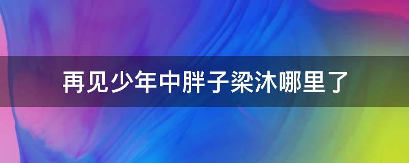 再見少年中胖子梁沐哪里了 再見少年梁沐為什么失蹤了