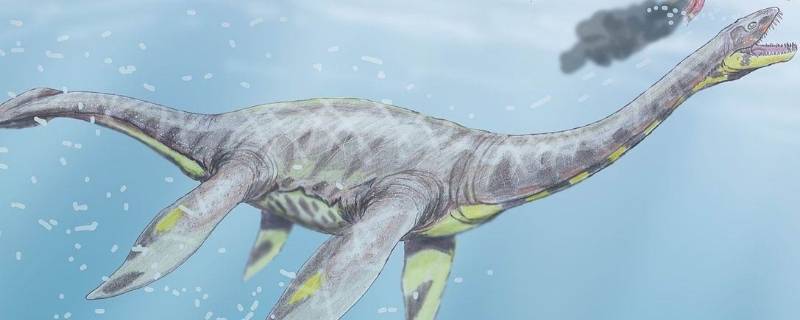 plesiosaurus是什么恐龙 stegosaurus是什么恐龙