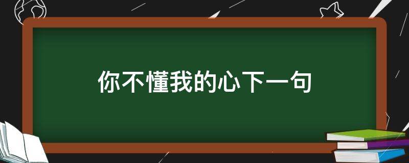 你不懂我的心下一句（你不懂我的心下一句歌词）