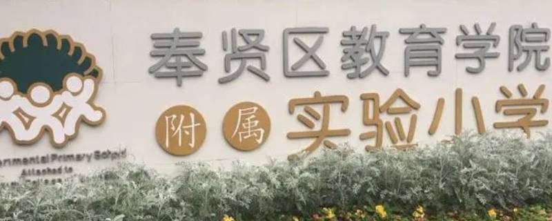 奉教院附小全稱（奉教院附小招生簡章）