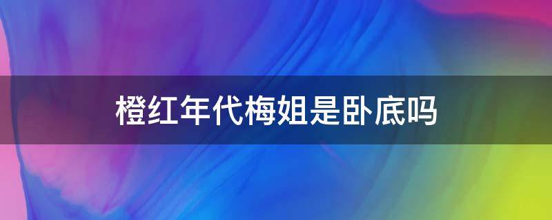 橙红年代梅姐是卧底吗（橙红年代什么时候发现卧底身份）