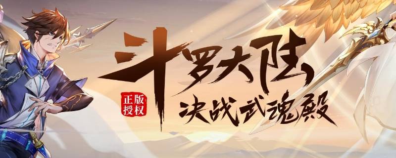 斗羅大陸魂師對(duì)決支柱怎么設(shè)置（斗羅大陸魂師對(duì)決支柱怎么設(shè)置出來(lái)）