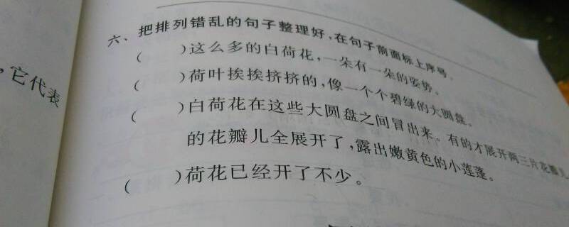 標(biāo)句子序號標(biāo)在開頭還是結(jié)尾 一段話中給句子標(biāo)序號