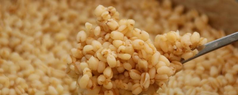 小麦仁怎么做好吃 鲜小麦仁怎么做好吃