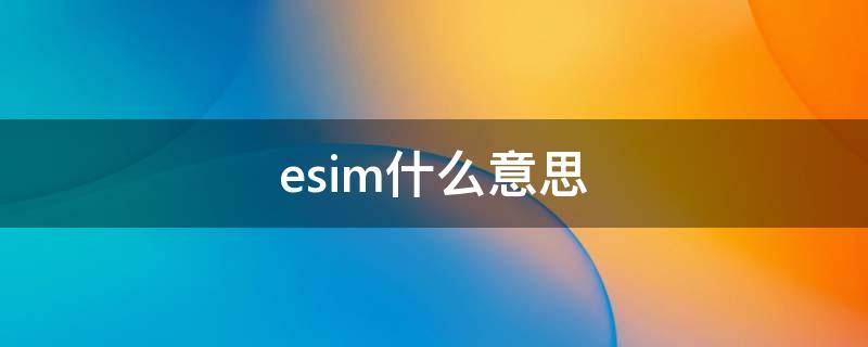 esim什么意思（ESIM什么意思）