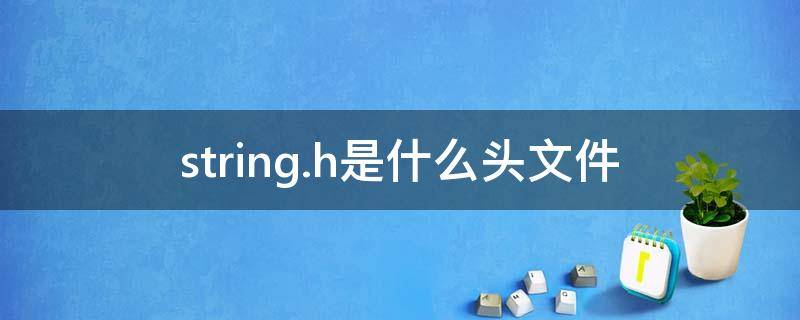 string.h是什么頭文件 頭文件string與string.h的區(qū)別