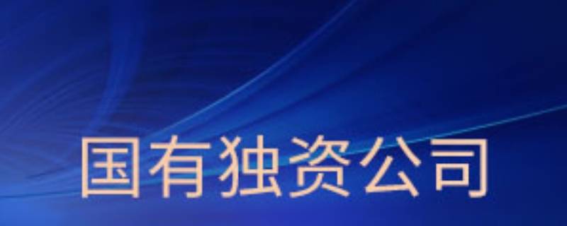 国有独资企业和国有独资公司的区别有哪些