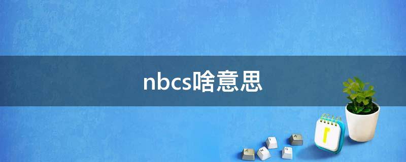 nbcs啥意思（NBCS是什么意思網(wǎng)絡(luò)用語(yǔ)）