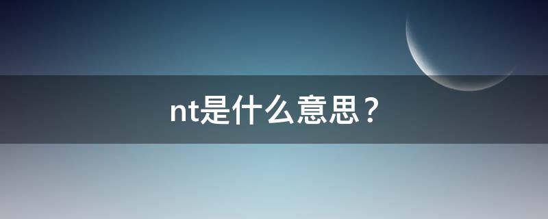 nt是什么意思？ nt是什么意思?游戏