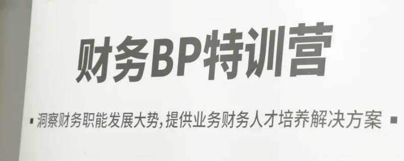 财务bp是什么意思？ 财务bp是什么意思的缩写