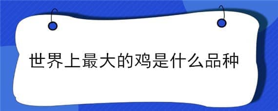 世界上最大的鸡是什么品种（最大的鸡是哪个品种）