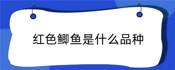 紅色鯽魚(yú)是什么品種（紅顏色鯽魚(yú)是啥魚(yú)）