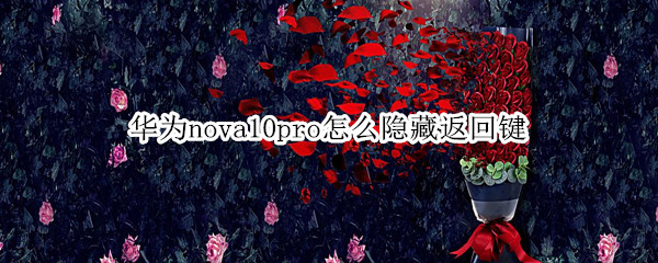 華為nova10pro怎么隱藏返回鍵（華為nova10返回鍵在哪）