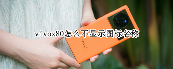 vivox80怎么不显示图标名称（vivox50pro照片不显示vivo图标怎么设置）