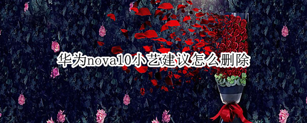 华为nova10小艺建议怎么删除（华为nova小艺怎么设置）