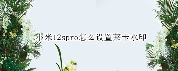 小米12spro怎么设置莱卡水印（miui12拍照技巧）