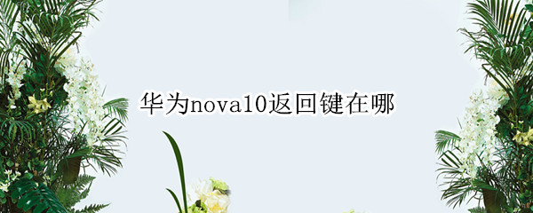 華為nova10返回鍵在哪（華為nova9返回鍵在哪）