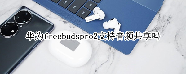 华为freebudspro2支持音频共享吗（华为freebudspro媒体音频）