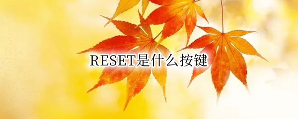 RESET是什么按键（reset是什么按键中文是什么意思）