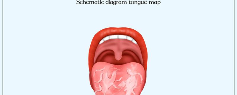 地图舌需要补充什么维生素 地图舌吃多种维生素管用吗
