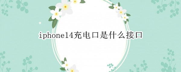 iphone14充电口是什么接口 iphone13充电口是什么接口