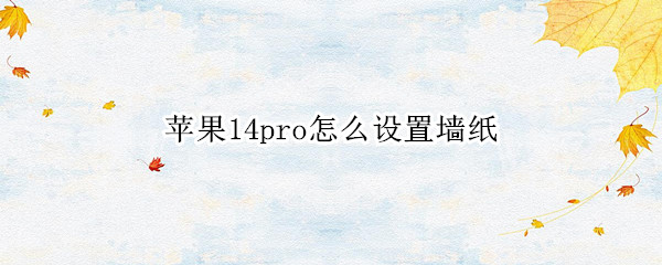 苹果14pro怎么设置墙纸（苹果11promax怎么设置壁纸）