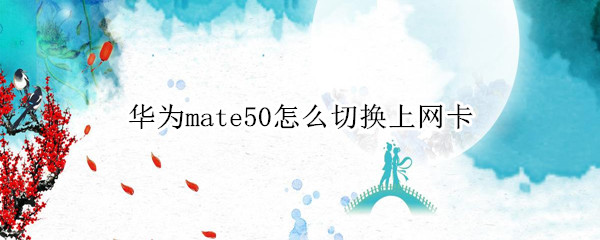 华为mate50怎么切换上网卡 华为如何切换网络卡