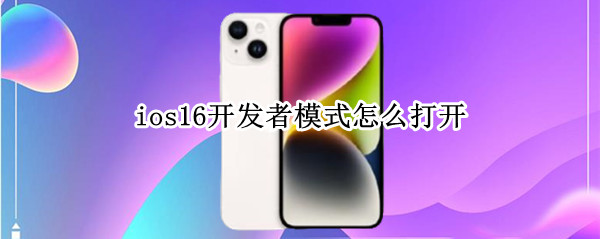 ios16開發(fā)者模式怎么打開 ios14怎么打開開發(fā)者模式