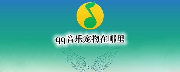 qq音乐宠物在哪里（qq音乐宠物在哪里找）