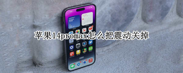 苹果14promax怎么把震动关掉（苹果12promax开了震动但不震动）