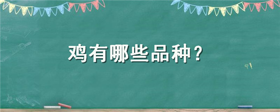 雞有哪些品種 蘆丁雞有哪些品種