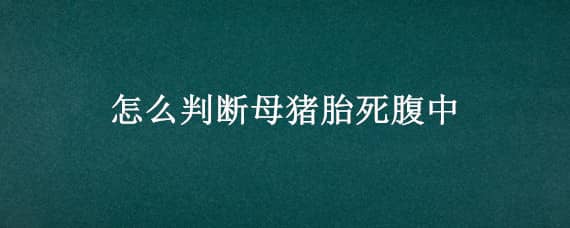 怎么判斷母豬胎死腹中 母豬胎死腹中是什么原因