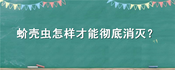 蚧壳虫怎样才能彻底消灭 天堂鸟蚧壳虫怎样才能彻底消灭