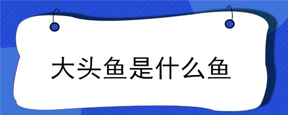 大头鱼是什么鱼（河里大头鱼是什么鱼）