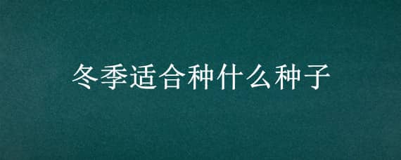 冬季適合種什么種子 冬季適合種什么種子樹