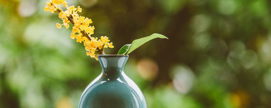 桂花酒怎么泡（桂花酒怎么泡不苦）