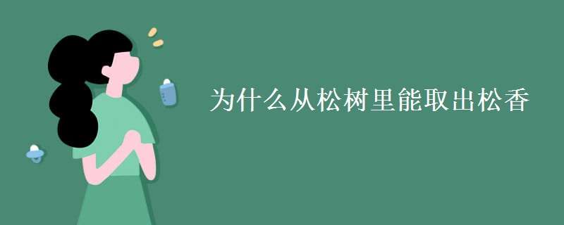 为什么从松树里能取出松香 为什么从松树里能提取出松香