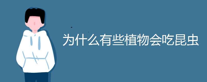 为什么有些植物会吃昆虫 为什么有些植物能吃