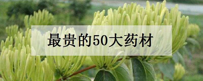 最贵的50大药材 最贵的50大药材排名