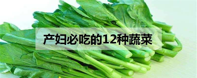 產(chǎn)婦必吃的12種蔬菜 產(chǎn)婦必吃的12種蔬菜照片