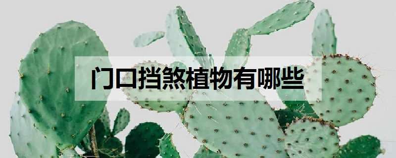 門口擋煞植物有哪些