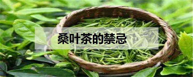 桑葉茶的禁忌 桑葉茶的禁忌人群