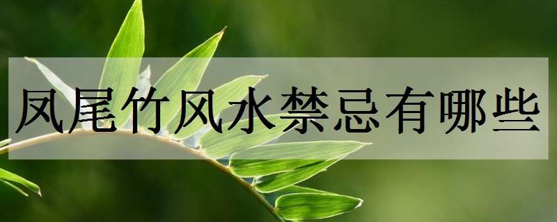 鳳尾竹風(fēng)水禁忌有哪些